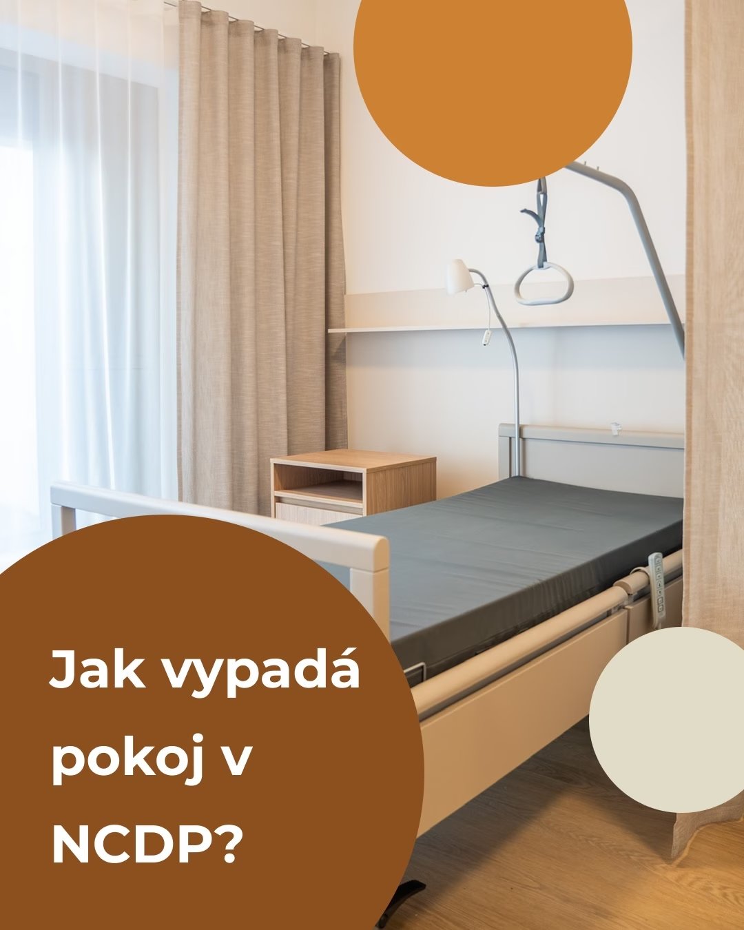 Prostor NCDP